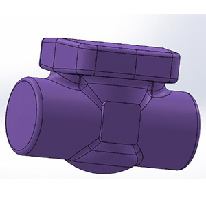 Model development and weight calculation by software